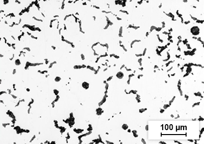 CGI microstructure containing 10% nodularity.