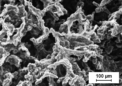 Deep-etched SEM micrographs show the complex coral-like graphite in three-dimensions.